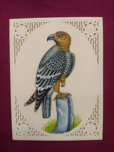 Beautiful Charming Eagle Miniature Painting - ArtUdaipur