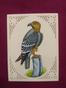 Beautiful Charming Eagle Miniature Painting - ArtUdaipur