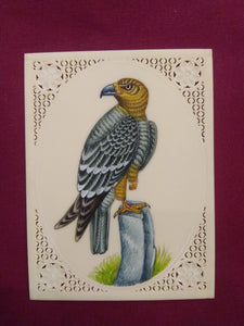 Beautiful Charming Eagle Miniature Painting - ArtUdaipur