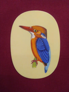Cute Baby KingFisher on Synthetic Ivory ColorFul Exotic - ArtUdaipur