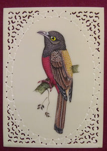 Sparrow Bird on Faux Synthetic Ivory Exotic Miniature Painting - ArtUdaipur