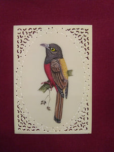 Sparrow Bird on Faux Synthetic Ivory Exotic Miniature Painting - ArtUdaipur