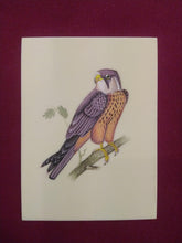 Load image into Gallery viewer, Hand Painted Sparrow Bird Art Collection Indian Painting - ArtUdaipur
