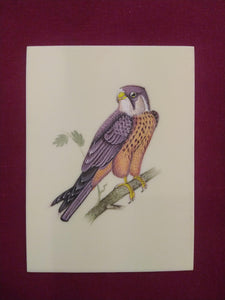 Hand Painted Sparrow Bird Art Collection Indian Painting - ArtUdaipur