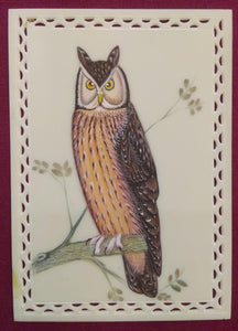 Night Owl Miniature Painting India on Synthetic Ivory Famous Artist - ArtUdaipur