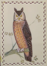 Load image into Gallery viewer, Owl Bird Painting Art
