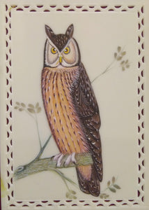Owl Bird Painting Art
