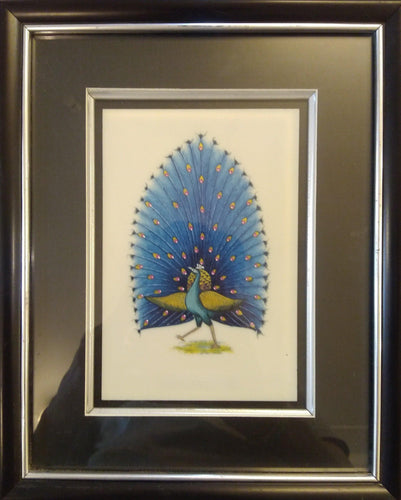 Peacock Bird Framed Art Interior Collection