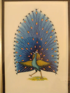 Framed Exotic Blue Peacock Bird Painting Black Frame - ArtUdaipur