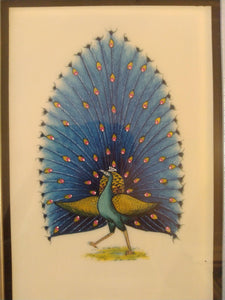 Framed Exotic Blue Peacock Bird Painting Black Frame - ArtUdaipur