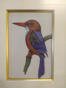 Exotic Framed KingFisher Bird Indian Miniature Painting Gold - ArtUdaipur