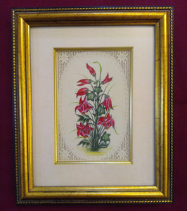Framed Flower Art Work
