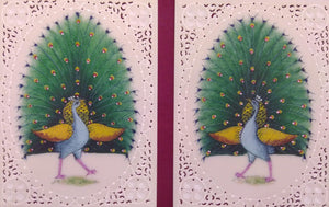 Peacock Bird