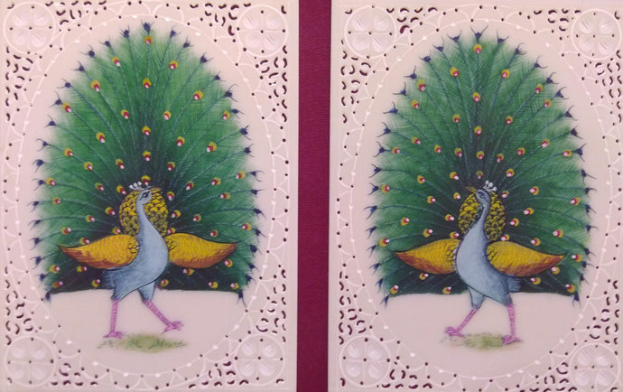 Peacock Bird