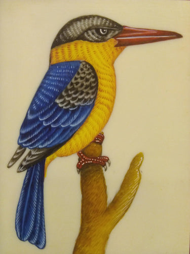 KingFisher