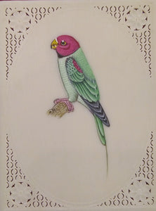 Parrot Bird