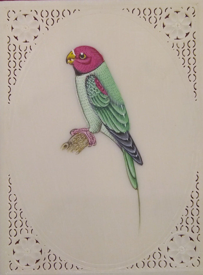 Parrot Bird