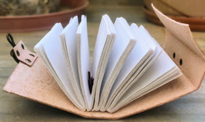Unlined Paper